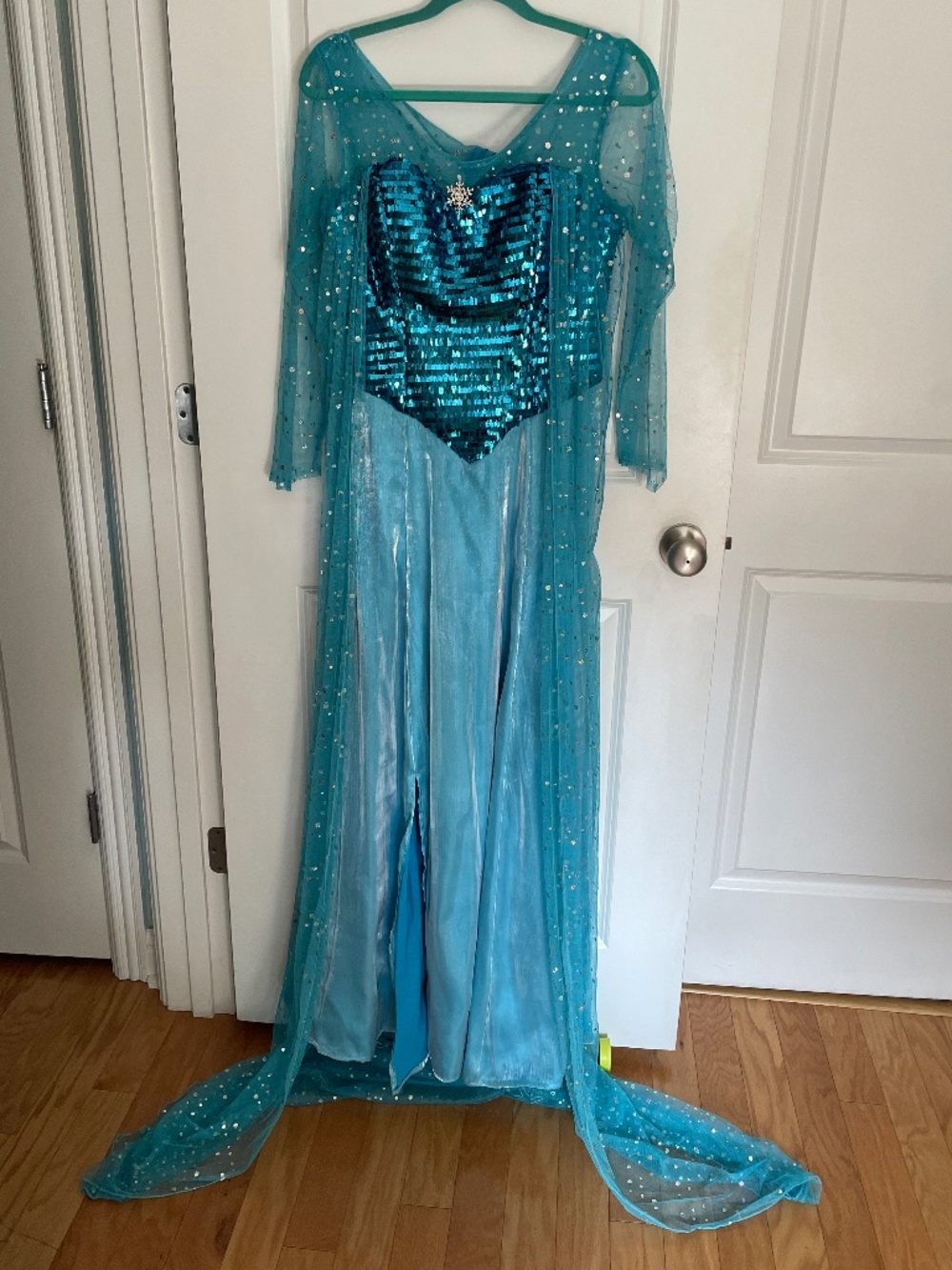 Elsa costume gown